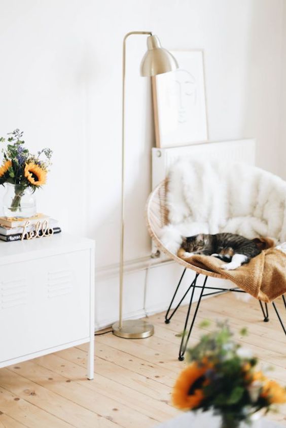 cat sleeping in fluffy chair