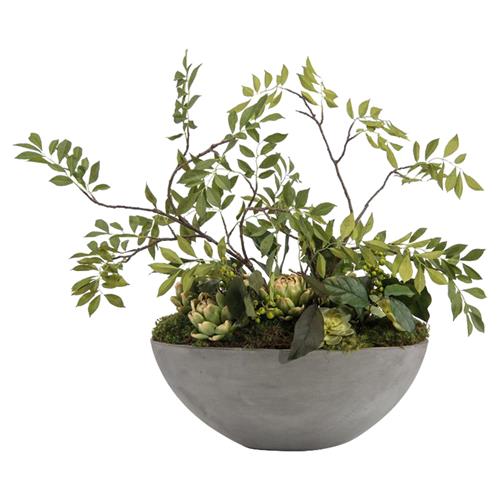 potted plant