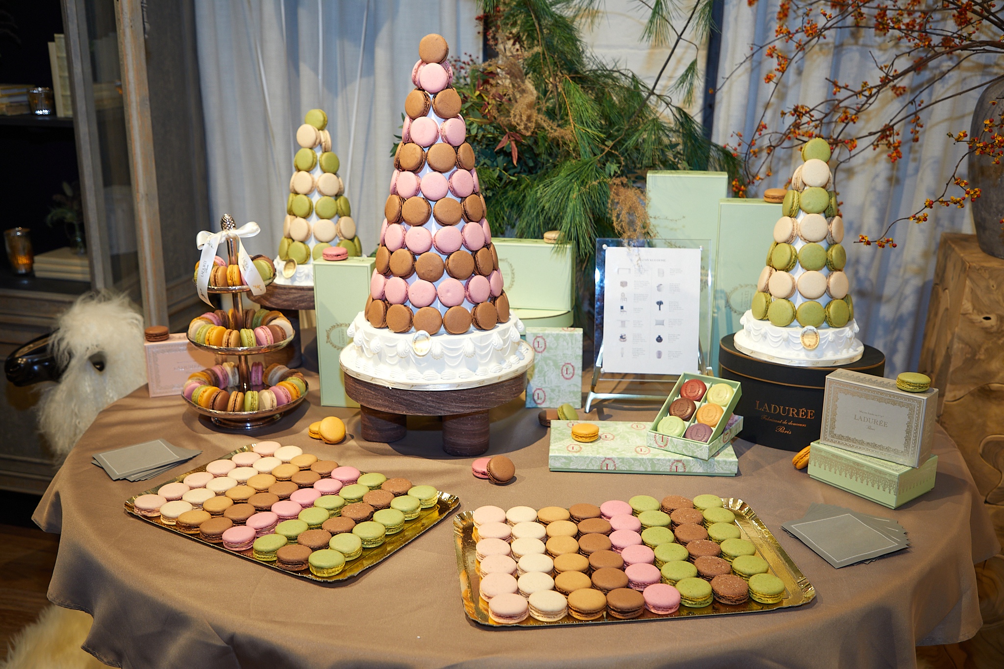 laduree display