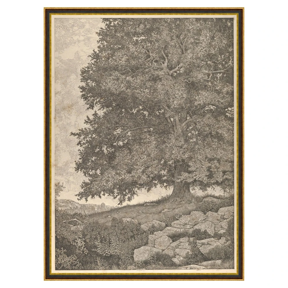 Raphael Tree Illustration Wall Art