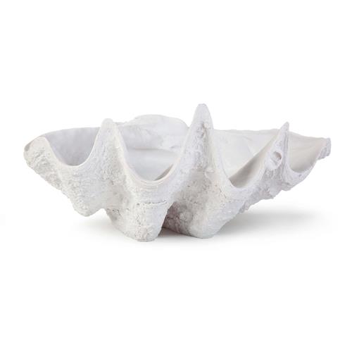 clam