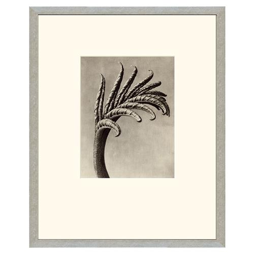 framed photo