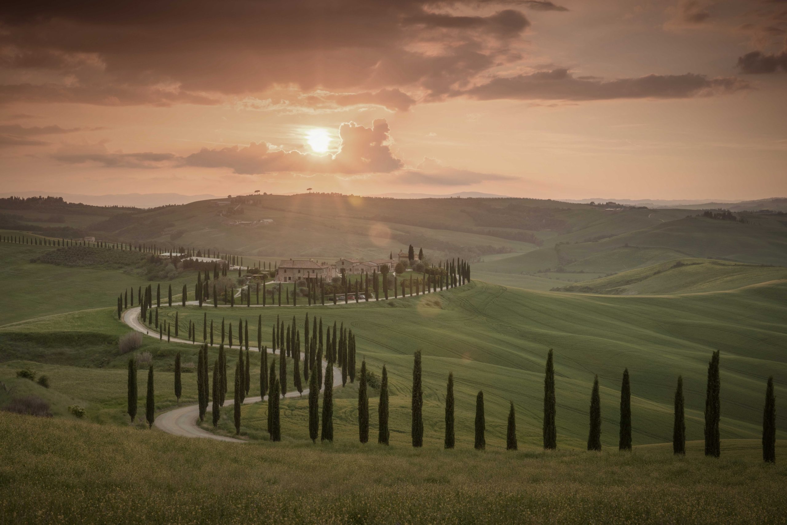 Tuscan landscape with rolling hills and Cypress trees at sunset
