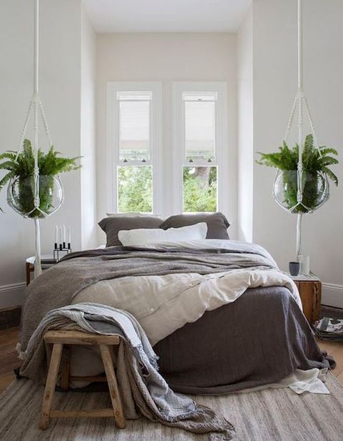bedroom interior with hanging plants