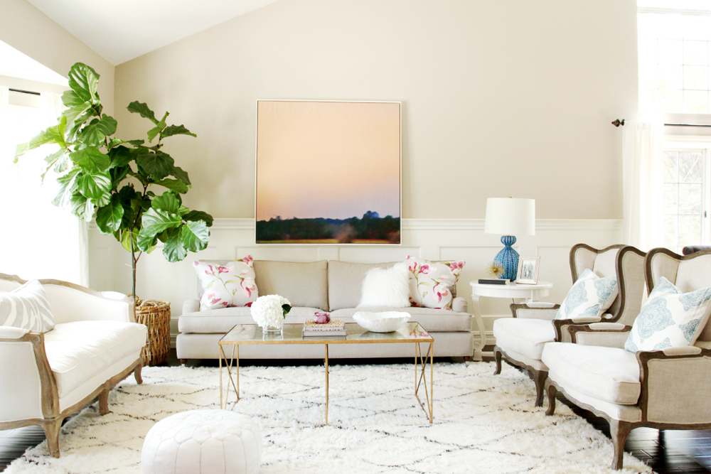 living room interior desing with plants
