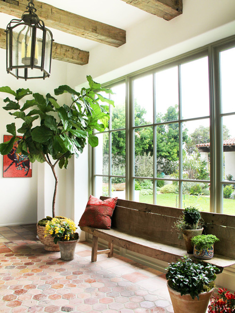 sunroom decorated with houseplants
