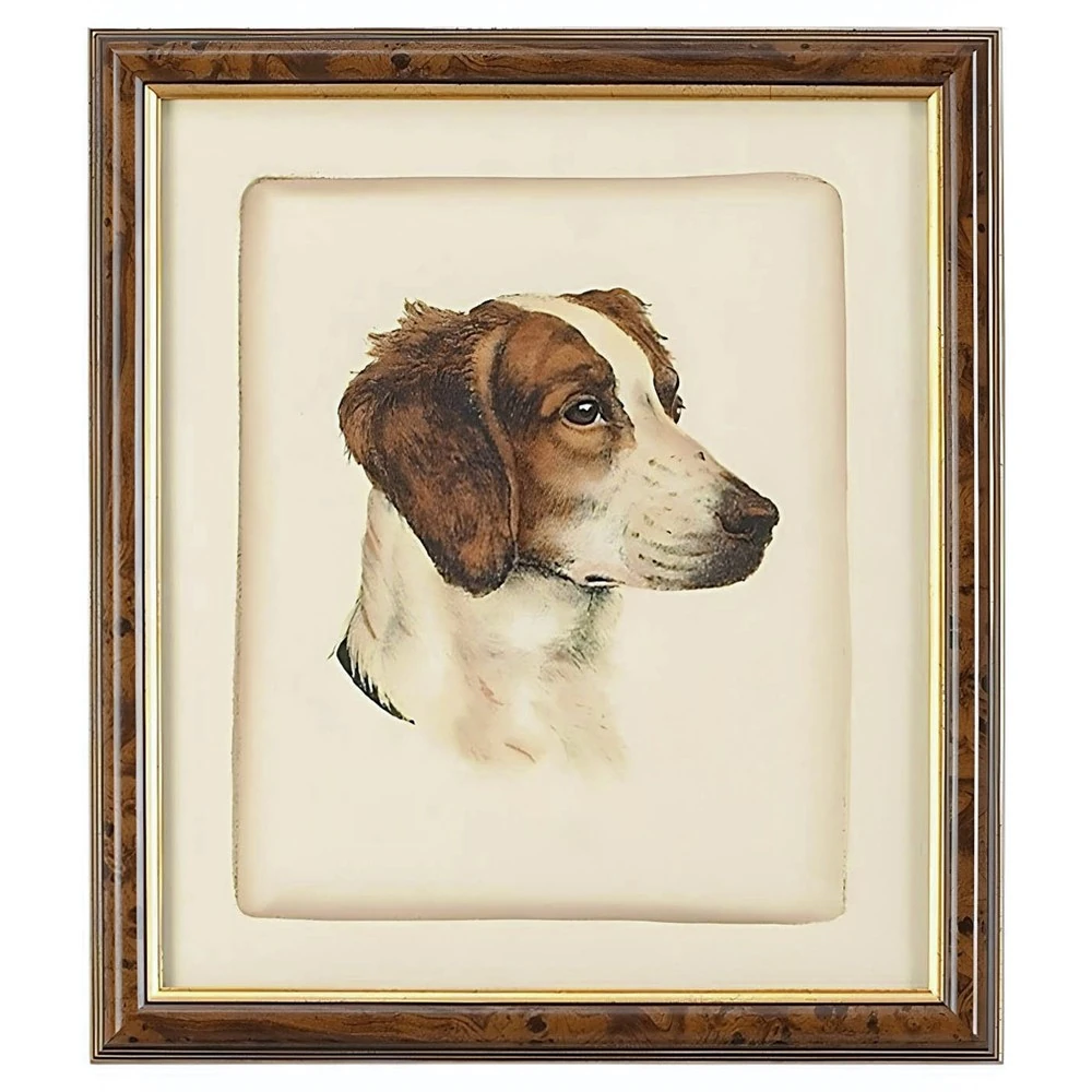 framed dog illustration