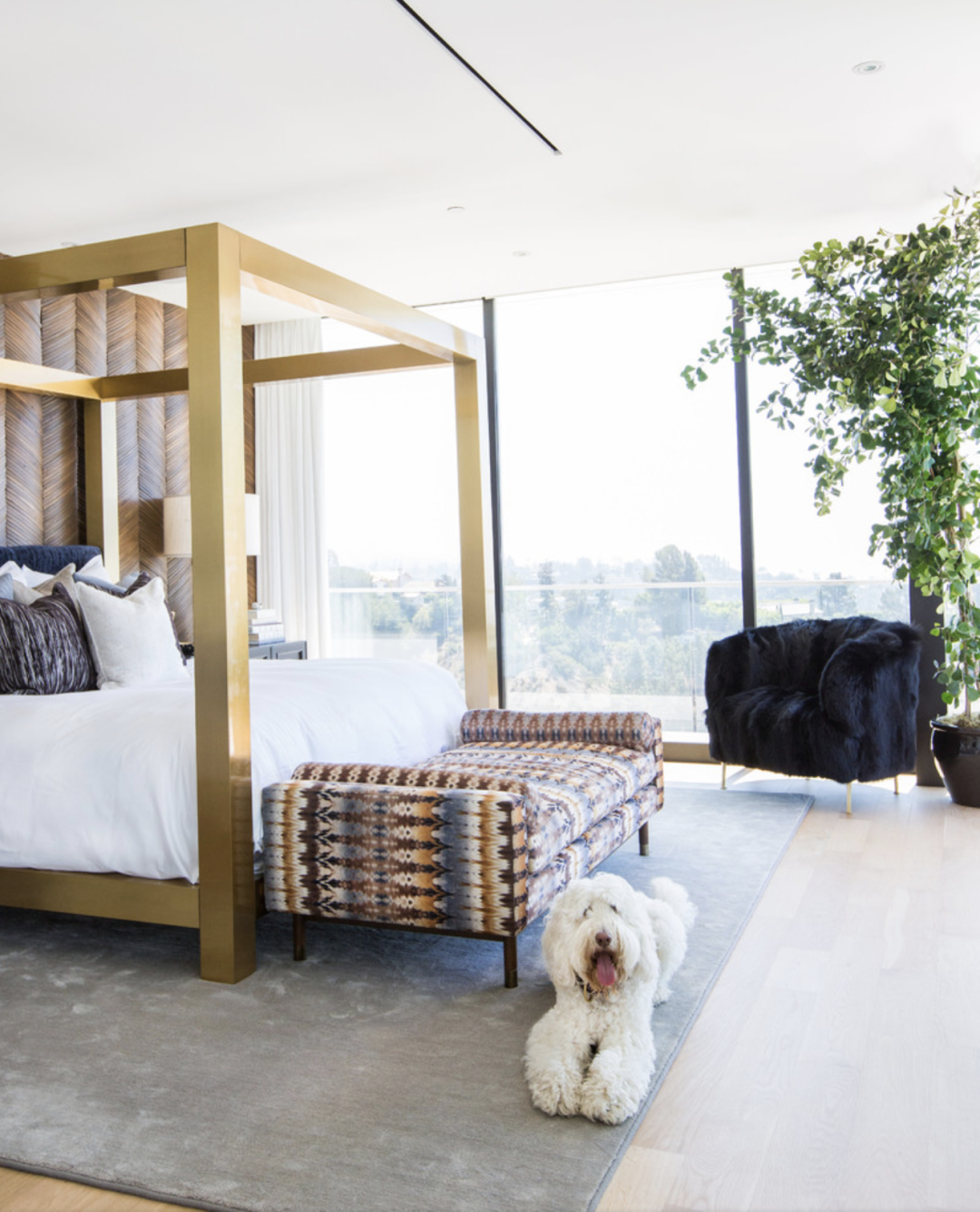 bedroom design with dog