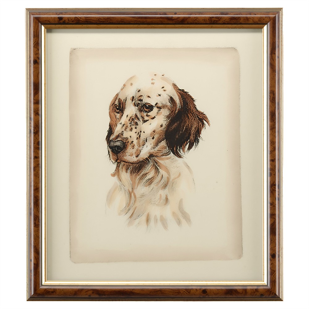 framed brown setter dog artwork