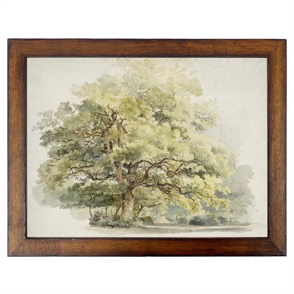 oak tree painting in a brown walnut frame