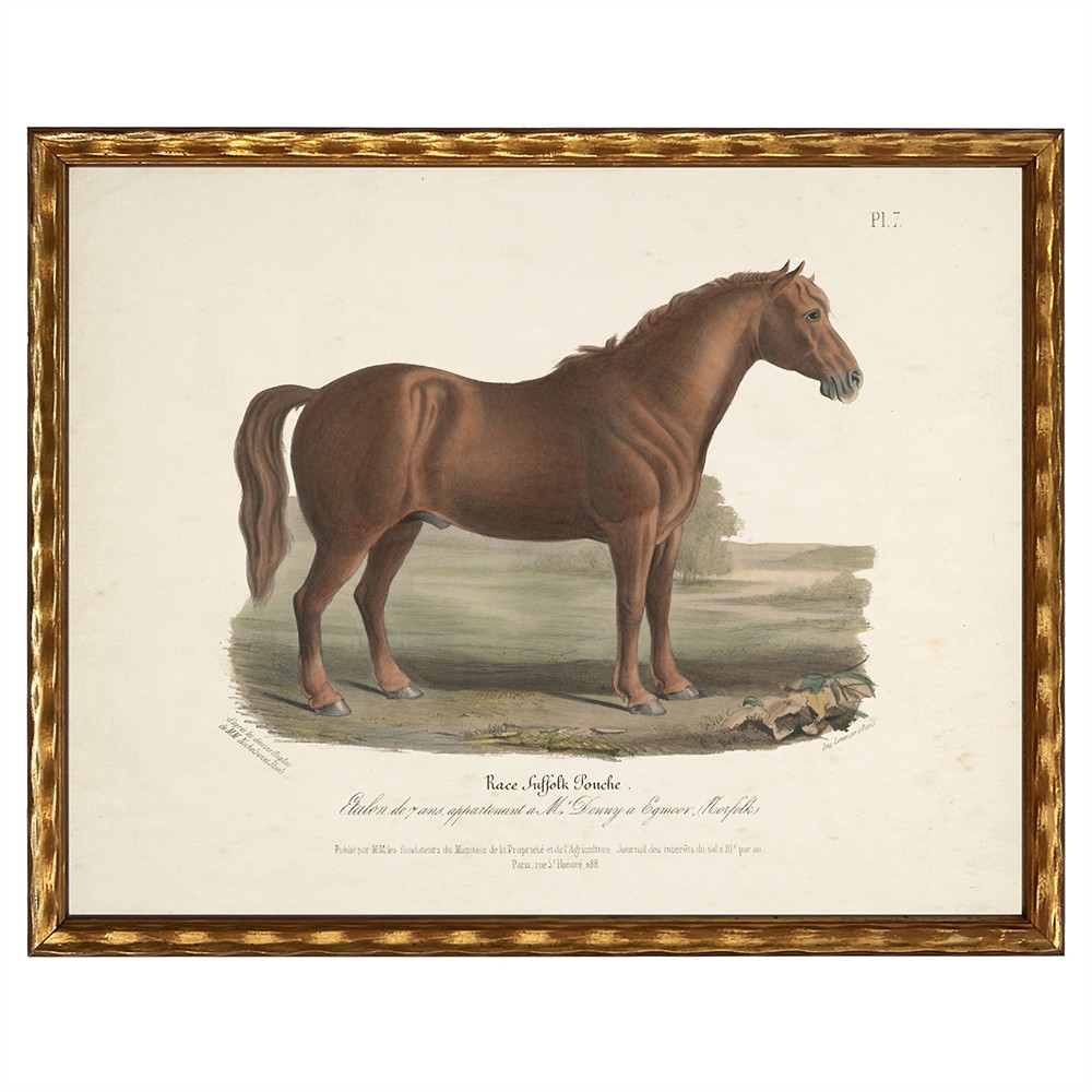 gold framed brown horse illustration wall art