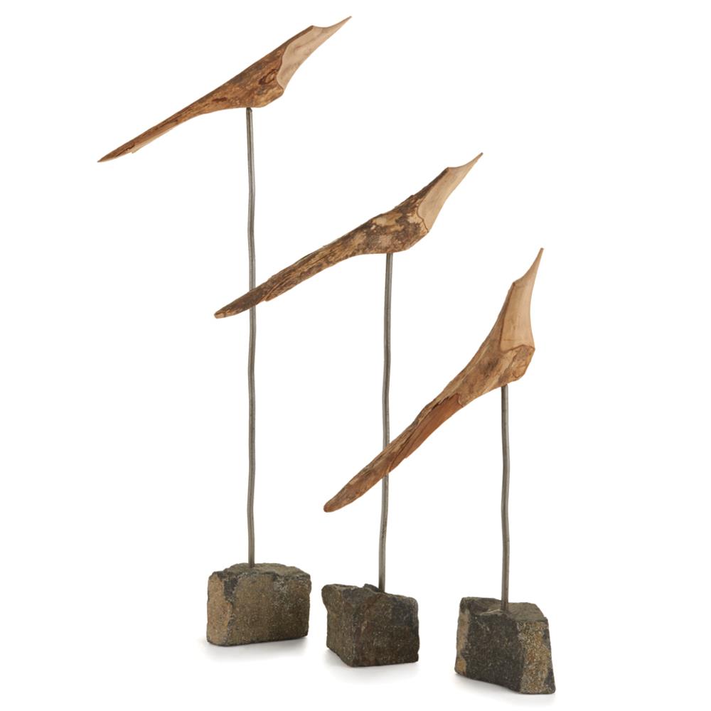 birds