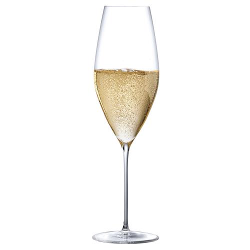 champagne glass