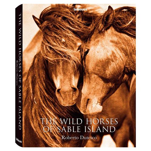 horse book