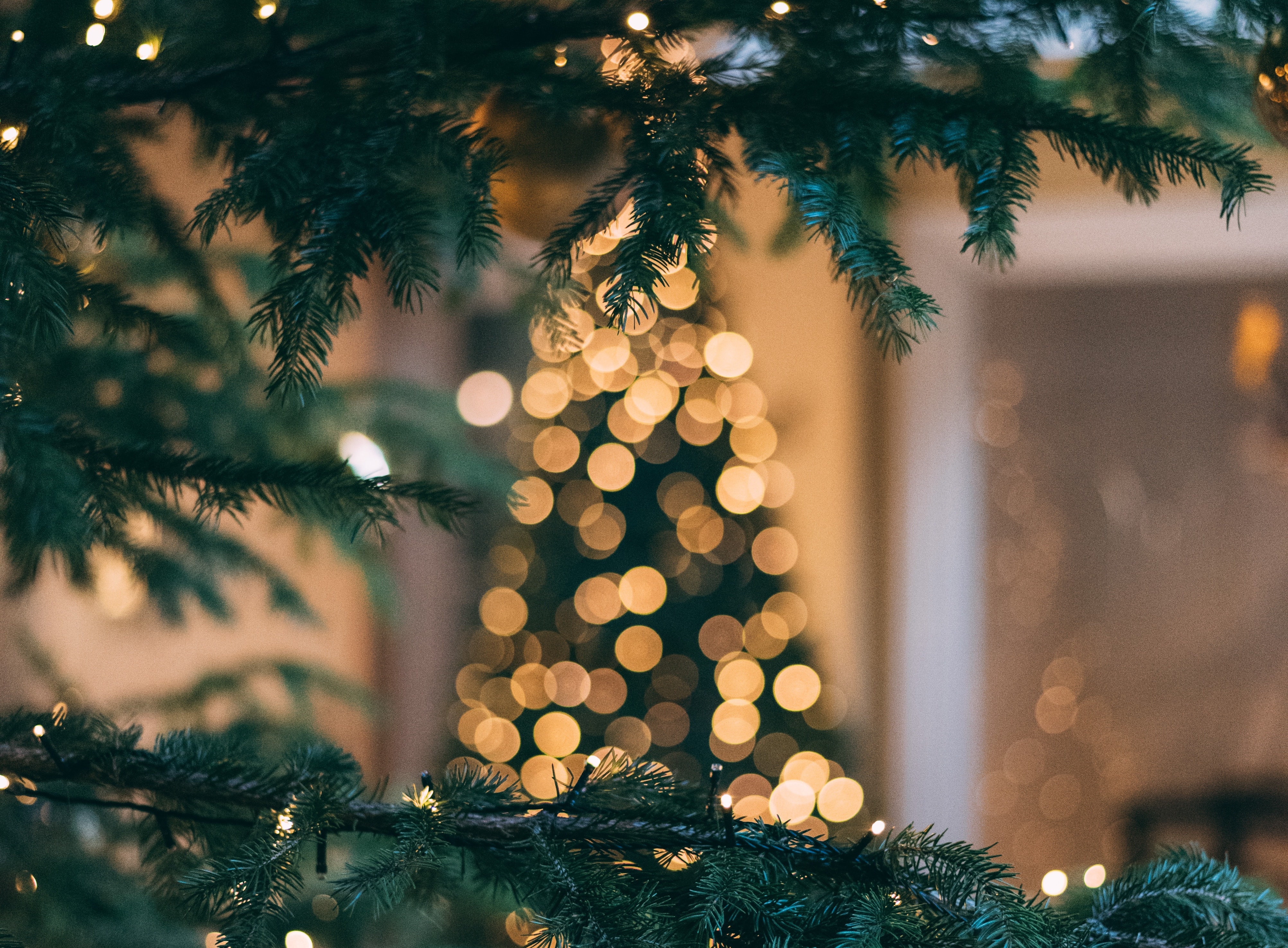 Shop the Video: Kathy's Christmas Tree & Holiday Decor Faves