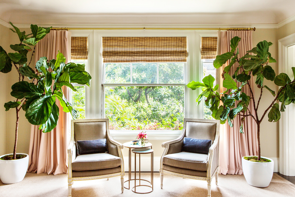 Interior Design Trends: The Rise & Fall of the Fiddle-Leaf Fig