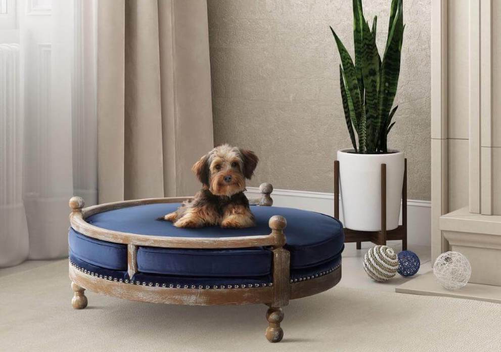 New Pet? No Problem: Secrets to Pet-Friendly Interior Design