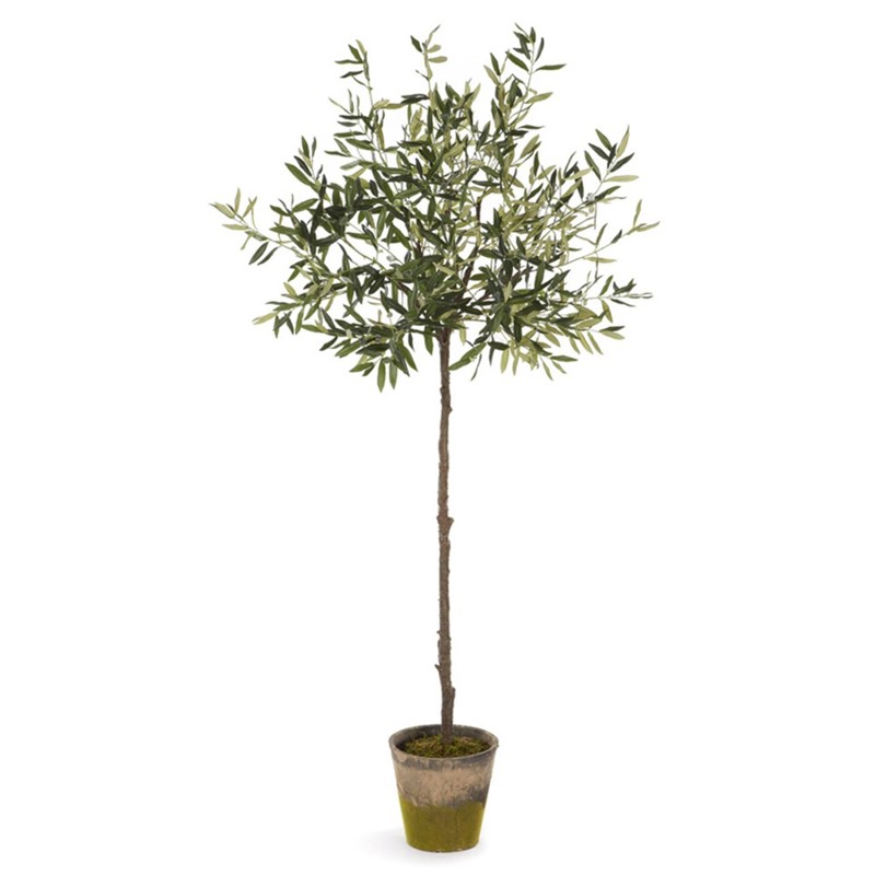 Lianne French Country Moss Potted Green Olive Tree