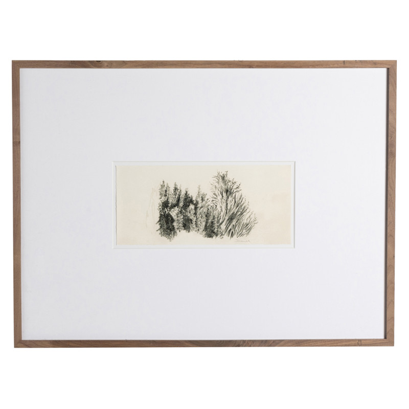 Tree Sketch Illustration - 30x40