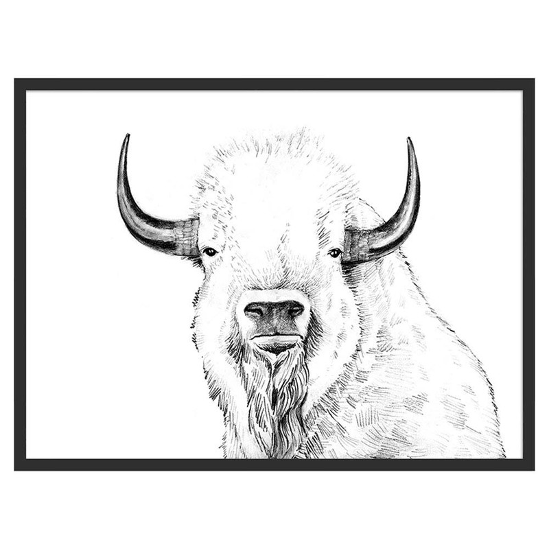 Curious Bison Illustration - 12x18