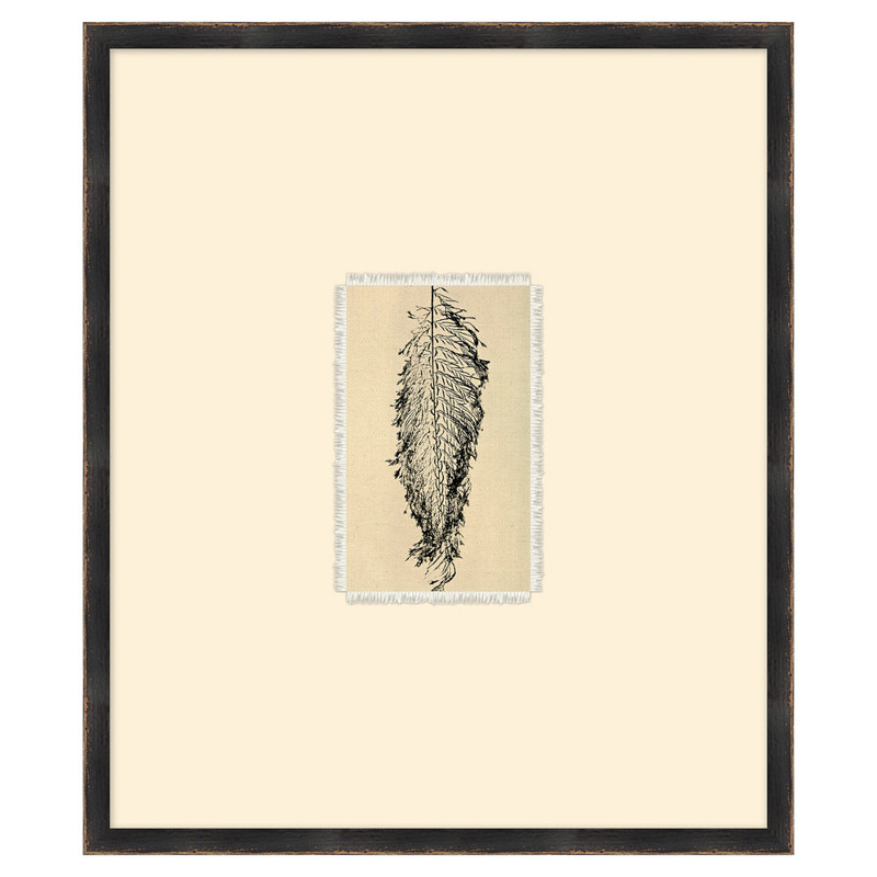 Mabel Traditional Black Fern Botanical Black Frame Ilustration 1 - 28x24