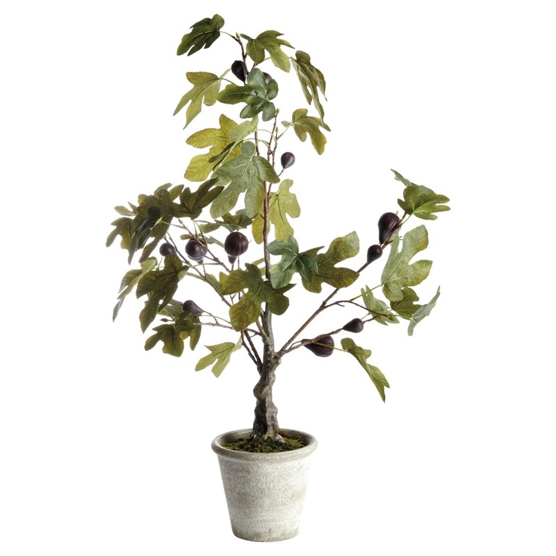 Sylvia French Country Green Leaf Potted Fig Tree