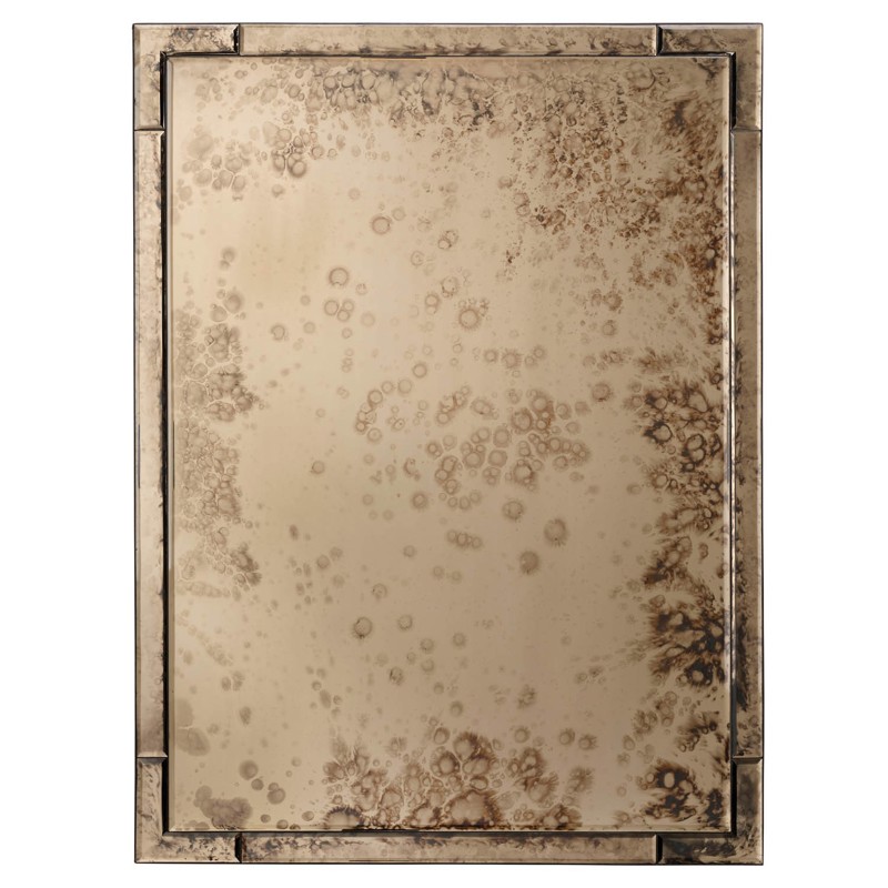 Tristan Updated Traditional Brown Antique Glass Rectangular Wall Mirror