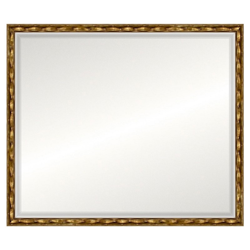 Penelope Updated Traditional Antique Gold Wood Rectangular Beveled Wall Mirror