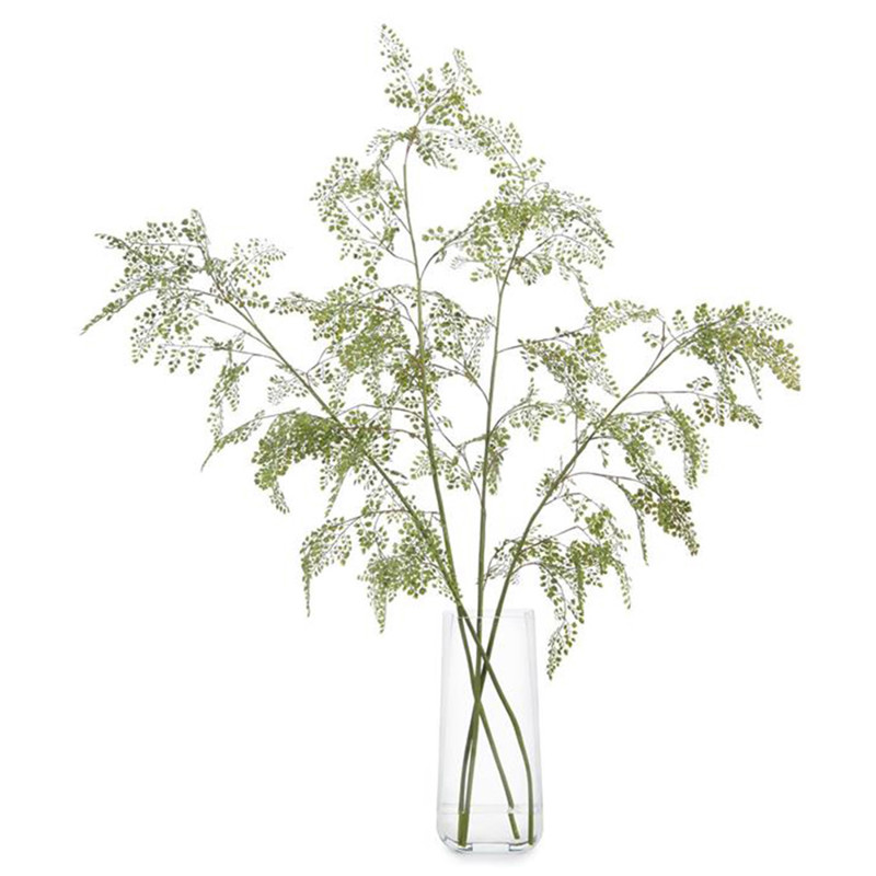 John-Richard Modern Classic Aqua Fern