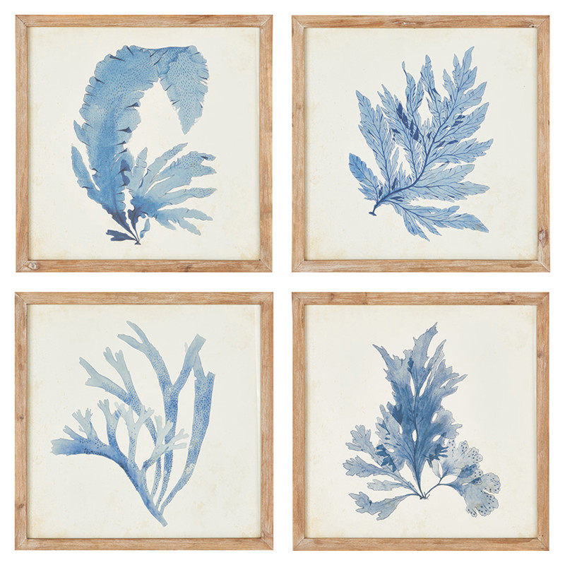 Nyla Coastal Beach Brown Floral & Botanical Natural Frame Painting