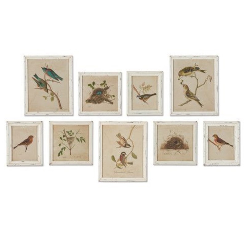 Cielo Bird and Nest Animals & Nature White Frame Illustration - Set of 9