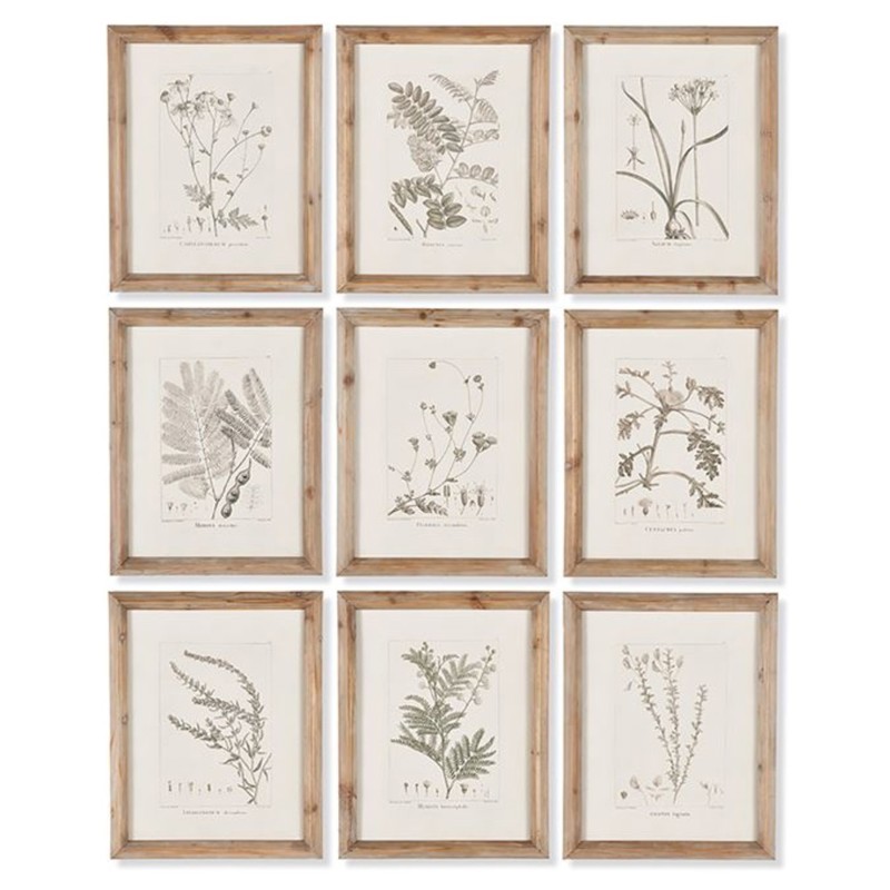 Ling French Country Brown Floral & Botanical Natural Frame Illustration