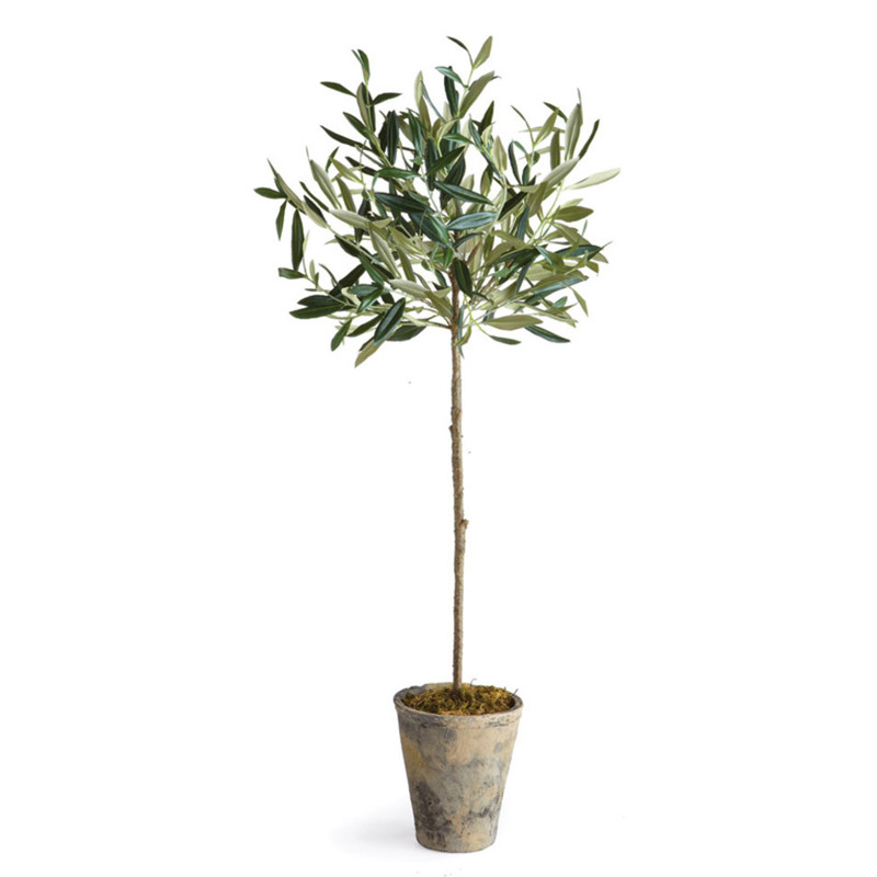 Ryan French Country Beige Ceramic Potted Olive Tree - Small