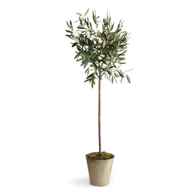Ryan French Country Beige Ceramic Potted Olive Tree - Large