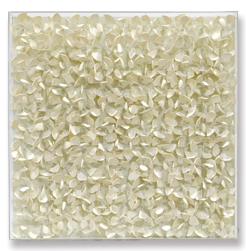 Palecek Coastal Adrift Off White Coco Wood Nature Acrylic Frame Mixed Media