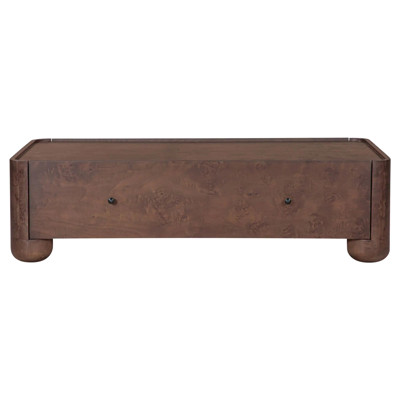 Gemma Modern Classic Brown Burl Rectangular Storage Coffee Table