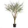Apollo French Country Green Grand Olive Drop In Potted Tree - Large