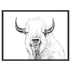 Curious Bison Illustration - 12x18