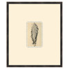 Mabel Traditional Black Fern Botanical Black Frame Ilustration 1 - 28x24