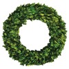 Marin French Country Green Boxwood Wreath - 12"