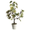 Sylvia French Country Green Leaf Potted Fig Tree