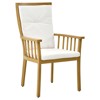 Perryn Modern Classic Brown Aluminum Outdoor Dining Arm Chair