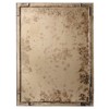 Tristan Updated Traditional Brown Antique Glass Rectangular Wall Mirror