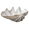 Lombock Clam Shell Ornament - 28W