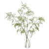 John-Richard Modern Classic Aqua Fern
