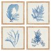 Nyla Coastal Beach Brown Floral & Botanical Natural Frame Painting