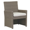 Yuna Coastal Beige Cushion Brown Wicker Outdoor Dining Arm Chair
