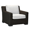 Rustic Modern Black Woven Wicker Outdoor Lounge Chair