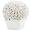 Boston French Country Blanc De Chine Porcelain Boxwood Topiary