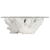 Sylvia Coastal Beach White Tree Stump Round Coffee Table